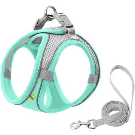 Set Arnés + Correa para Gatos y Perros Pequeños